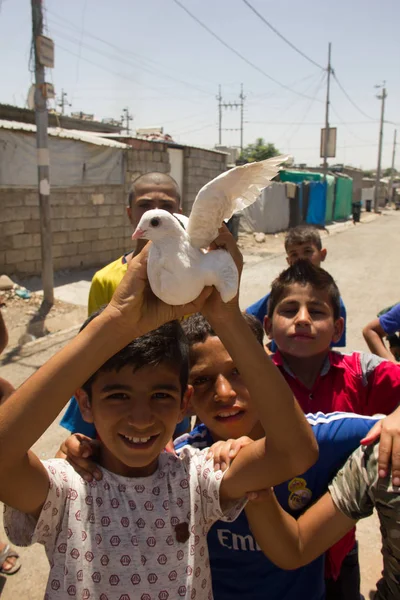 Darashakran Mülteci Kampı Erbil Bir Güvercin Ile Oynarken Çocuklar Irak — Stok fotoğraf