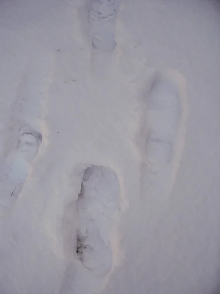 Fußabdrücke Schnee Nahaufnahme — Stockfoto