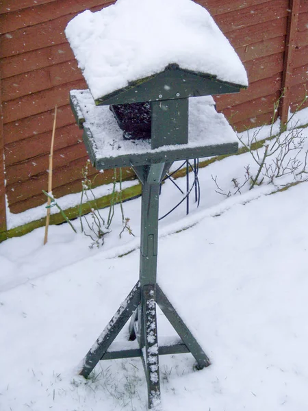 Alimentador Aves Cubierto Nieve — Foto de Stock