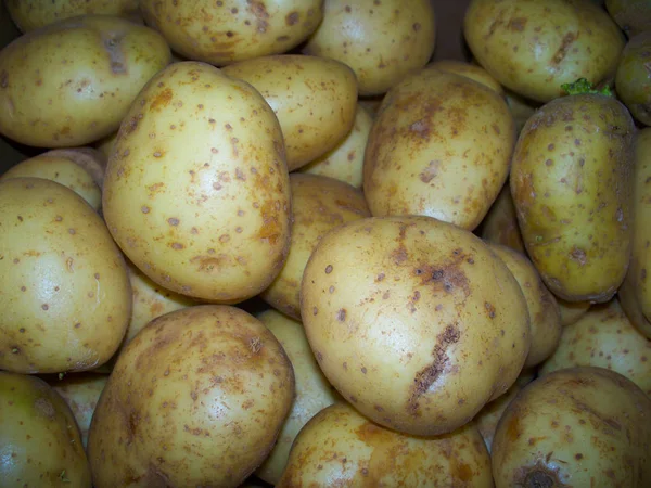 Pile Raw Russet Potatoes — Stock Photo, Image