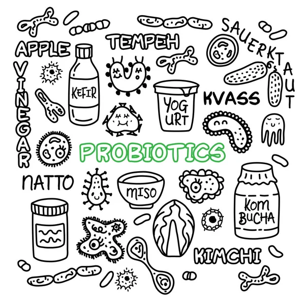 Probióticos bacterias alimentos medicina set intestino bacteriana flora — Vector de stock