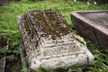 St. Petersburg'daki Alexander Nevsky Lavra'nın 18.