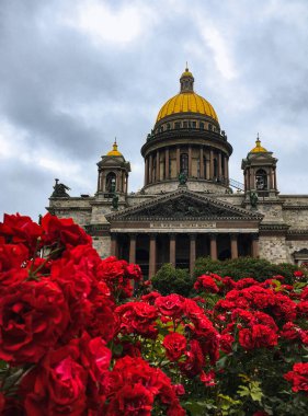 St. Petersburg, Rusya - 1 Mayıs 2020 Turist Ortodoks Hıristiyan St. Isaac Katedrali, St. Petersburg 'daki kırmızı güllerin arka planına karşı ana cephe
