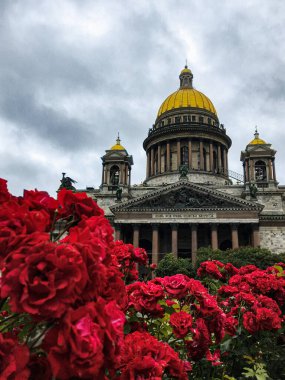 St. Petersburg, Rusya - 1 Mayıs 2020 Turist Ortodoks Hıristiyan St. Isaac Katedrali, St. Petersburg 'daki kırmızı güllerin arka planına karşı ana cephe