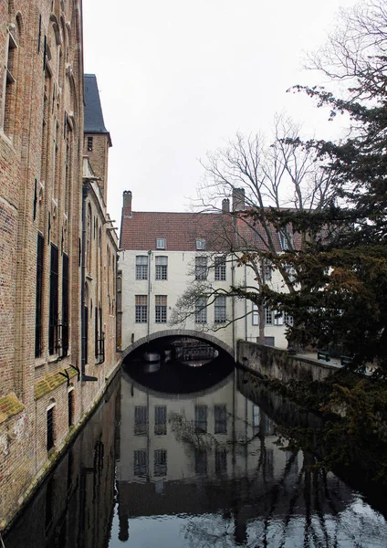 벨기에 2020 중심지에 아름다운 역사적 건물들 벨기에 의작은 — 스톡 사진