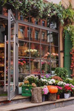 Sonbahar dekoru, balkabakları ve mevsimlik çiçeklerle kompozisyon