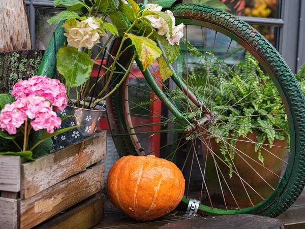 Autumn Decor Composition Pumpkins Seasonal Flowers — Stock Photo, Image