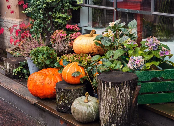 秋の装飾 カボチャと季節の花で構成 ロイヤリティフリーのストック画像