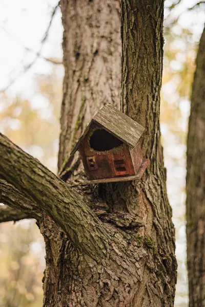 Niedliches Hölzernes Vogelhaus Für Vögel Herbstlichen Wald — Stockfoto