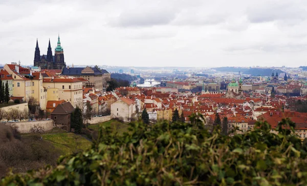 Prague République Tchèque Mars 2020 Vue Vysehrad Prague Toits Vieilles — Photo