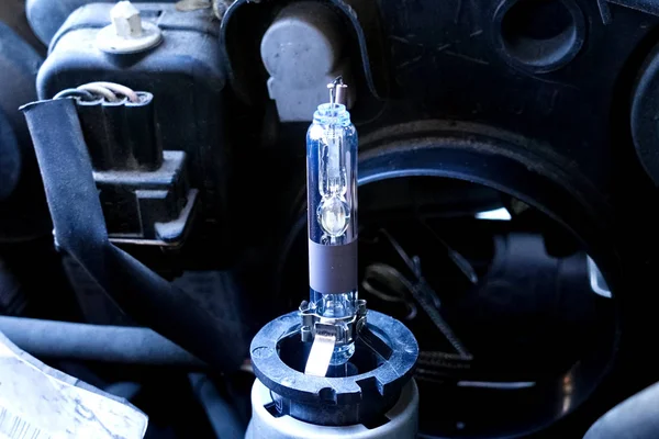 Autó Xenon lámpa — Stock Fotó