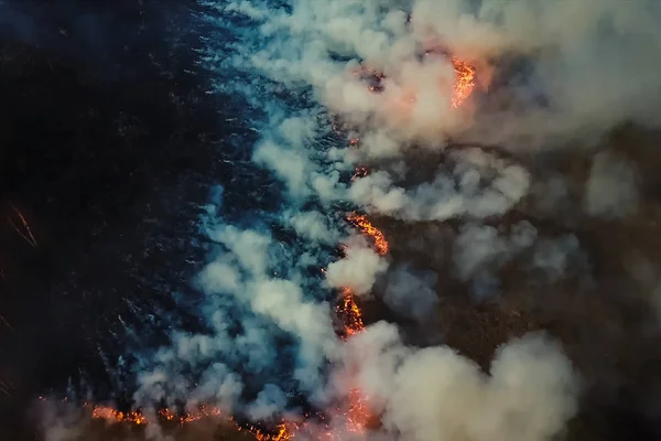 Incêndios na floresta russa, floresta Transbaikal em chamas, queima de — Fotografia de Stock