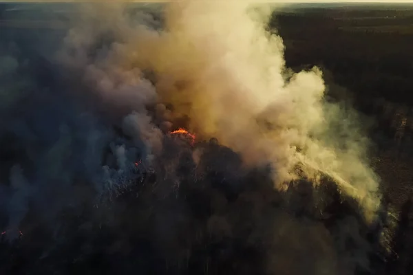 Brande i russisk skov, Transbaikal skov i brand, brænding af - Stock-foto