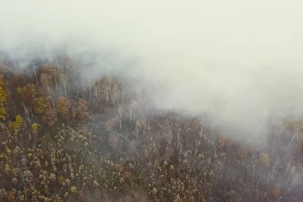 Fires in Russian forest, Transbaikal forest in fire, burning of — Stock Photo, Image