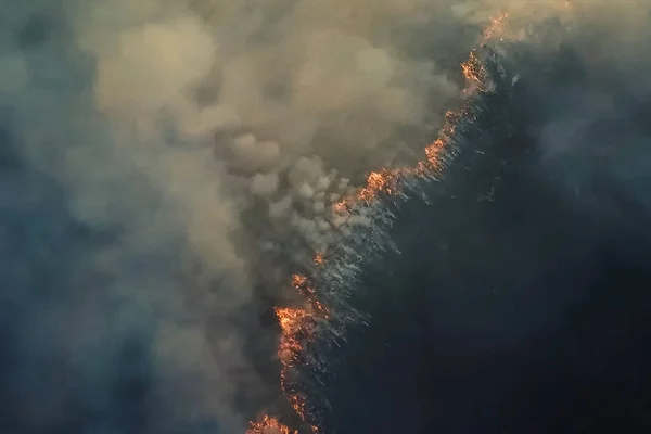 Incêndios na floresta russa, floresta Transbaikal em chamas, queima de — Fotografia de Stock