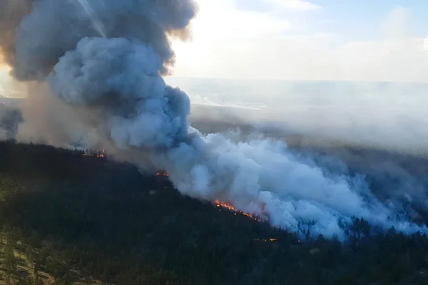 Пожары в Русском лесу, Забайкальском лесу в огне, — стоковое фото