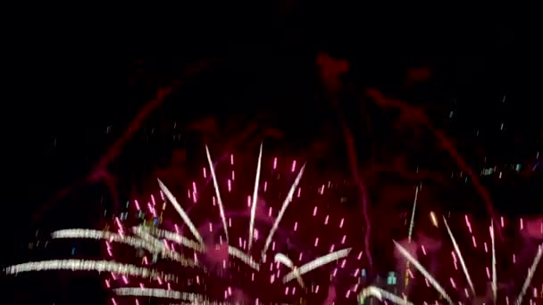 ดอกไม ไฟป ใหม ภายในม มมองของดอกไม แฟลชส นของ Pyrotechnics — วีดีโอสต็อก