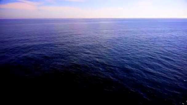Nuotano Delfini Nel Mare Azzurro Delfini Vicino Alla Costa Sul — Video Stock