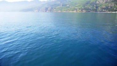 Yunuslar mavi denizde yüzer, karadeniz kıyısında yunuslar.