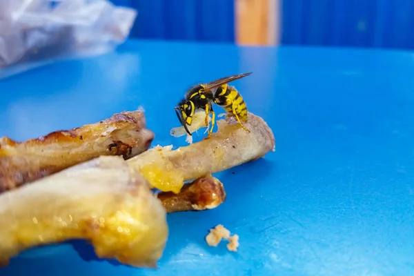 スズメハはテーブルの上に鶏の足の肉を食べる. — ストック写真