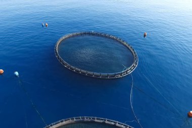 Denizde balık çiftliği, yuvarlak net ile çitle çevrili.