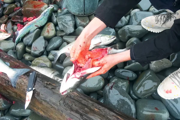 Red salmon fish with caviar — Stock Photo, Image