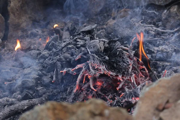 Yangın Yangın Doğa Kamp Ateşi Açık Rekreasyon Ateş Ormanda — Stok fotoğraf