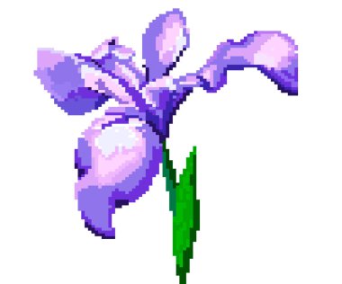 Çiçek Illustration pixel. Piksel fleurde luce Oyunlar ve uygulamalar - Vektorgrafik için. Iris çiçek vektör çizim. Çiçek simgesi. Renkli.