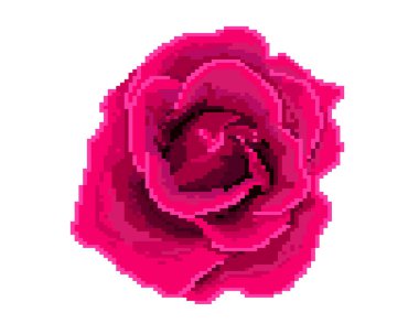 Gül simgesi. Piksel sanat. Çiçekçi dükkanı logosu. Tebrik kartı Dünya Kadınlar günü, anneler günü tasarımı için öğe. Etiket tasarım. Vektör illüstrasyon izole. -Vektorgrafik