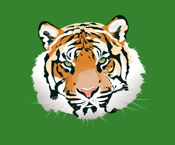 Illustrazione Del Vettore Tigre Vista Frontale Tigre Disegno Illustrazione Vettoriale — Vettoriale Stock
