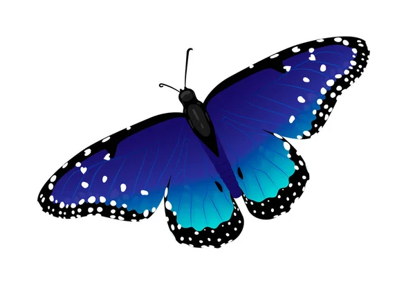 Farfalla Blu Con Cuori Sulle Ali Illustrazione Vettoriale Isolata Sfondo — Vettoriale Stock
