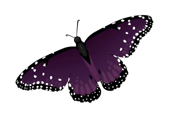 Farfalla Multicolore Con Cuori Sulle Ali Illustrazione Vettoriale Isolata Sfondo — Vettoriale Stock