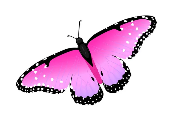多色蝴蝶 翅膀上有心 白色背景上的隔离矢量插图 丁香和热粉红色的翅膀 — 图库矢量图片