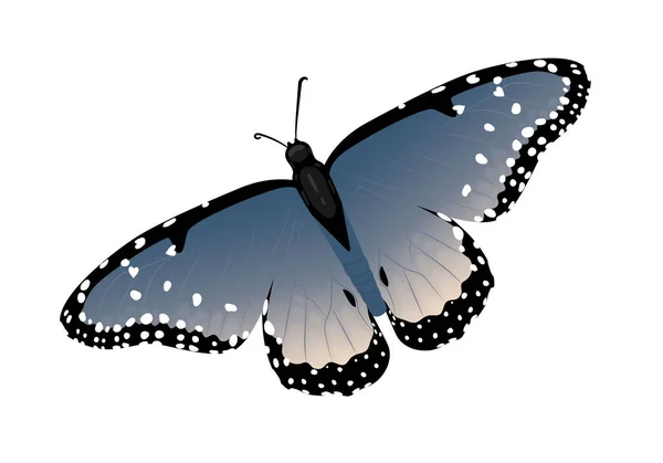 Vícebarevná Motýl Srdíčky Křídlech Izolované Vektorové Ilustrace Bílém Pozadí Břidlice — Stockový vektor