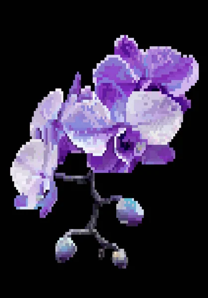 Vektör Piksel Sanat Çiçek Izole Mor Çayır Çiçek Vektör Çizim — Stok Vektör