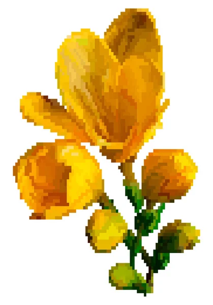 Vektor Pixel Konst Blomma Isolerade Gula Äng Blommor Vektorillustration — Stock vektor