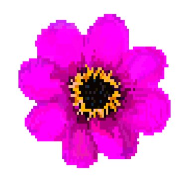 piksel alan çiçek vektör illüstrasyon izole beyaz arka plan üzerinde