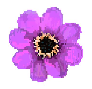 piksel alan çiçek vektör illüstrasyon izole beyaz arka plan üzerinde