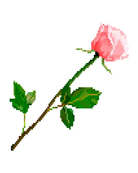 ピクセル アート バラの花は、白い背景で隔離 — ストックベクタ