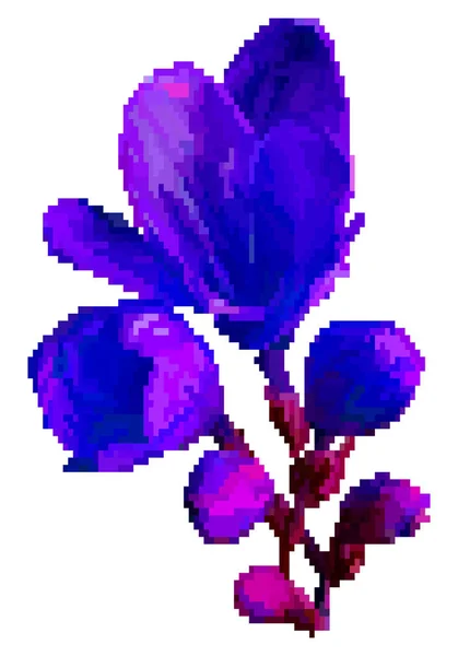 Çayır çiçek piksel vektör illüstrasyon izole beyaz arka plan üzerinde — Stok Vektör