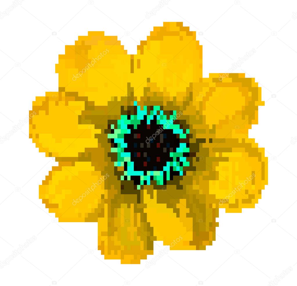 pixel field flower vector illustration isolated on white background