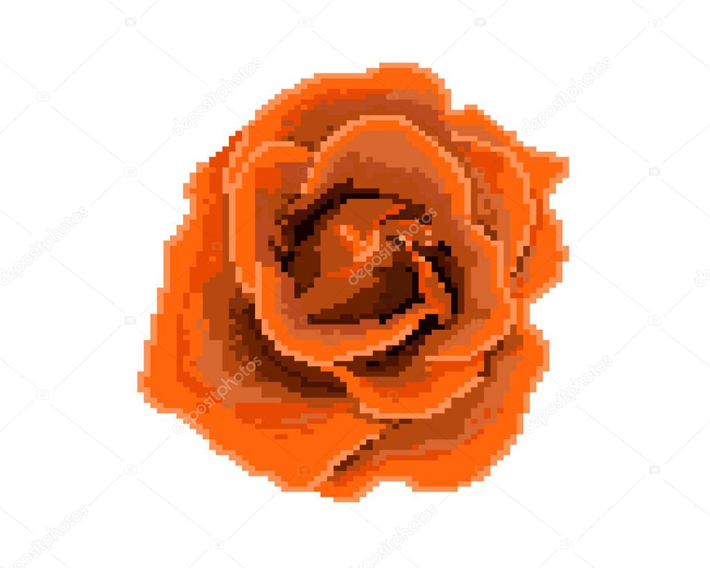 Element for the design of the greeting card International Womens Day, Mothers Day. Sticker design. Isolated vector illustration. - Vektorgrafik
