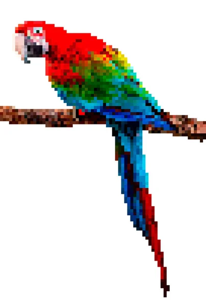 Madár pixel art. Papagáj pixel illusztráció elszigetelt fehér background. — Stock Vector
