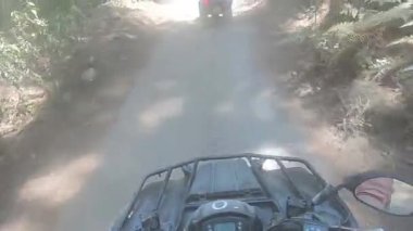 Kanarya adalarındaki ormanın içinden bisikletle geçeceğiz. Tenerife.