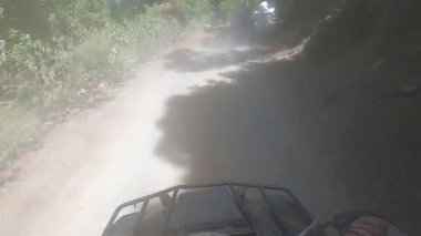 Kanarya adalarındaki ormanın içinden bisikletle geçeceğiz. Tenerife.