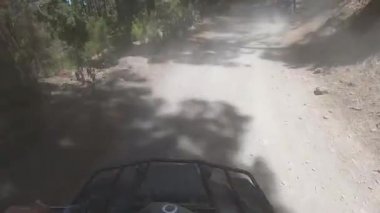 Kanarya adalarındaki ormanın içinden bisikletle geçeceğiz. Tenerife.