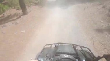 Kanarya adalarındaki ormanın içinden bisikletle geçeceğiz. Tenerife.