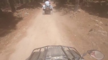 Kanarya adalarındaki ormanın içinden bisikletle geçeceğiz. Tenerife.
