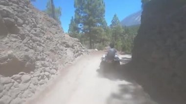 Kanarya adalarındaki ormanın içinden bisikletle geçeceğiz. Tenerife.