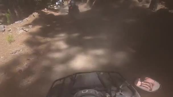 Quad Bike Ride Forest Canary Islands Tenerife — Stock Video